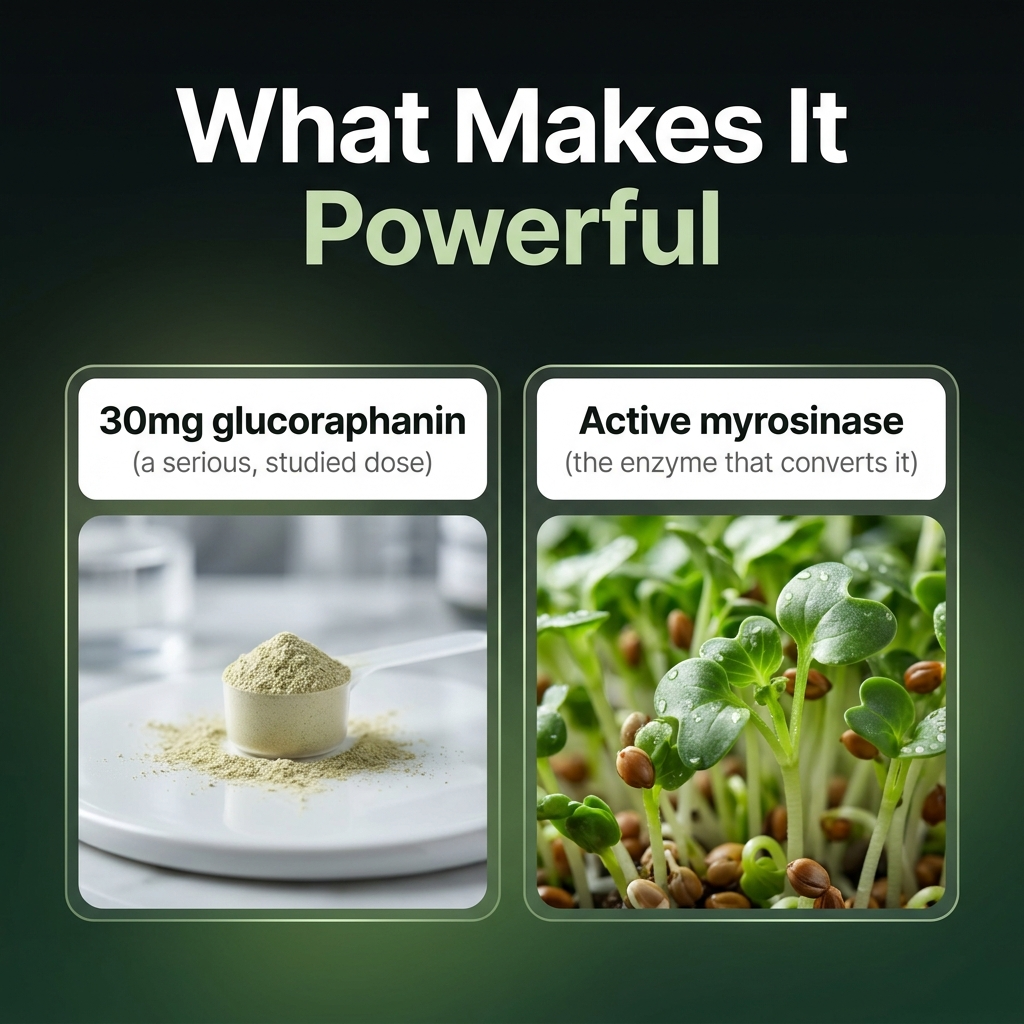 Active Sulforaphane — the broccoli compound, actually activated